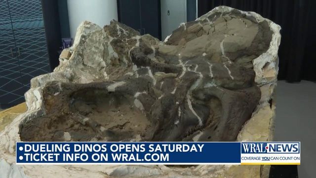 Dueling Dinos opens Saturday 