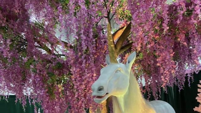 Calling all unicorn fans! Get ready for a magical escape to Unicorn World, an event galloping to the Raleigh Convention Center on May 4th and 5th. (Handout photo)