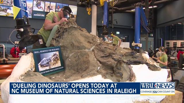 'Dueling Dinosaurs' open Saturday at NC Museum of Natural Sciences in Raleigh
