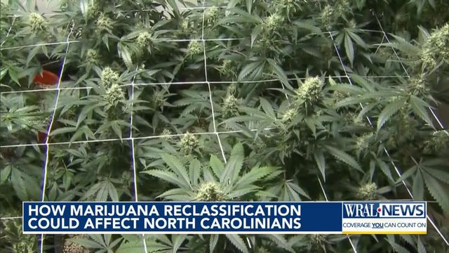 How marijuana reclassification could affect people in NC