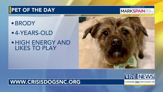 Pet of the Day: May 4, 2024