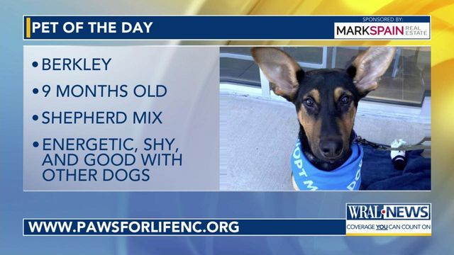 Pet of the Day: May 5, 2024