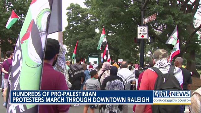 Hundreds of pro-Palestinian protesters march through downtown Raleigh
