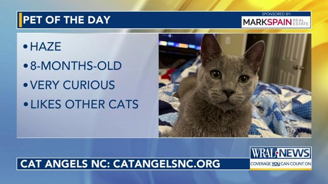 Pet of the Day for May 8, 2024