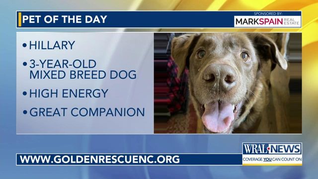 Pet of the Day: May 11, 2024