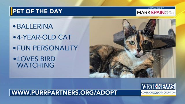 Pet of the Day: May 12, 2024