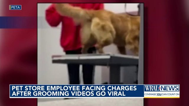 Pet store employee facing animal cruetly charges after video goes viral
