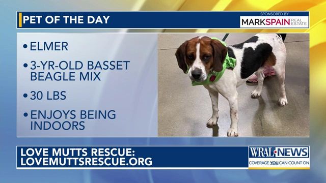 Pet of the Day: May 14, 2024