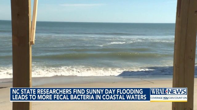 Sunny day flooding leads to more fecal bacteria in coastal waters, NC State researchers say