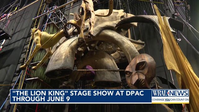 'The Lion King' Stage show at DPAC through June 9  