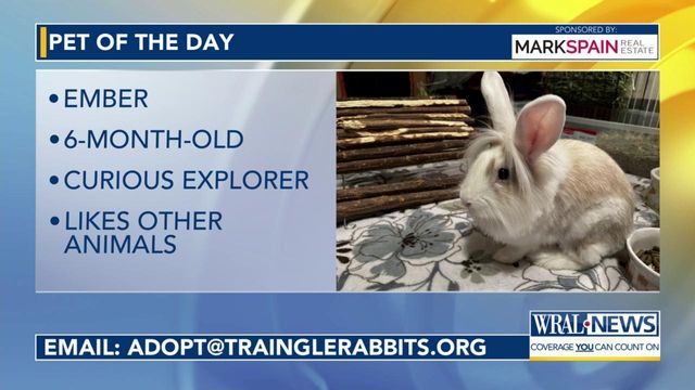 Pet of the Day: May 19, 2024