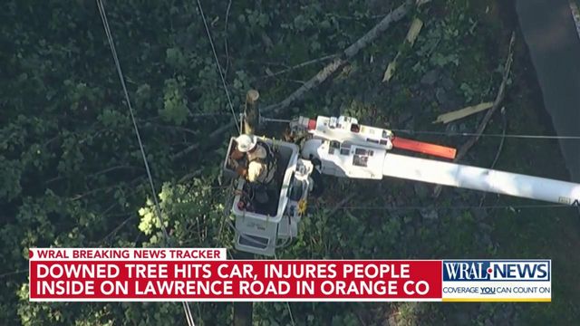 Downed tree hits car and knocks out power near Orange County golf club