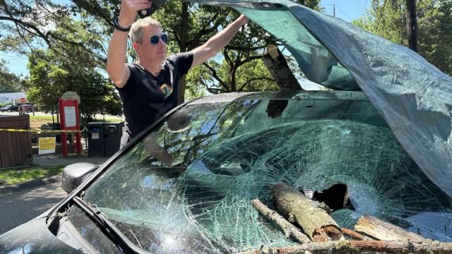 A large tree branch fell through the sunroof and windshield of Lyman Kiser's car on Saturday morning at Five Points' Roanoke Park in Raleigh, causing significant damage.