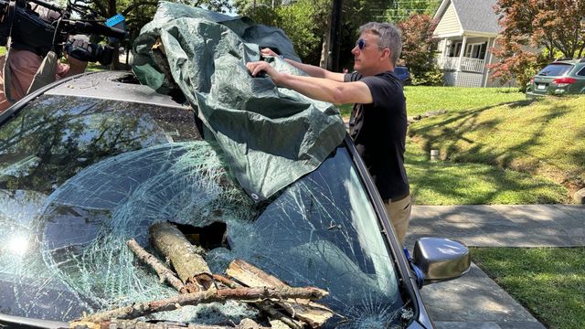 Tree branch crashes through car's sunroof feet away from Raleigh park