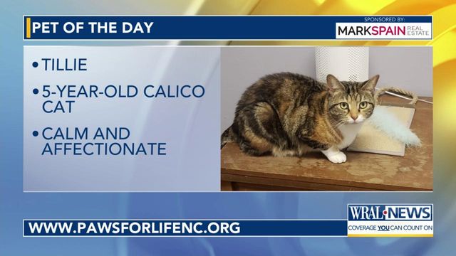 Pet of the Day: May 25, 2024
