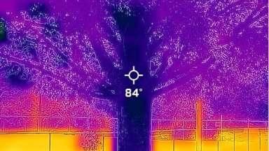 Thermal image of Chavis Park