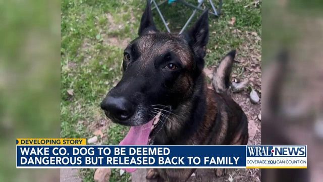 Wake Co. dog who bit 2-year-old returned to family