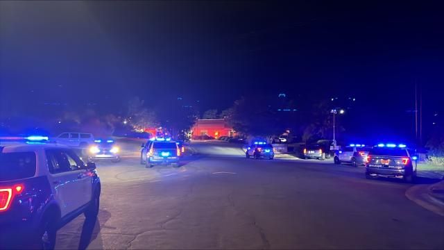 A large police presence was seen on Limousine Drive in Raleigh Friday night.