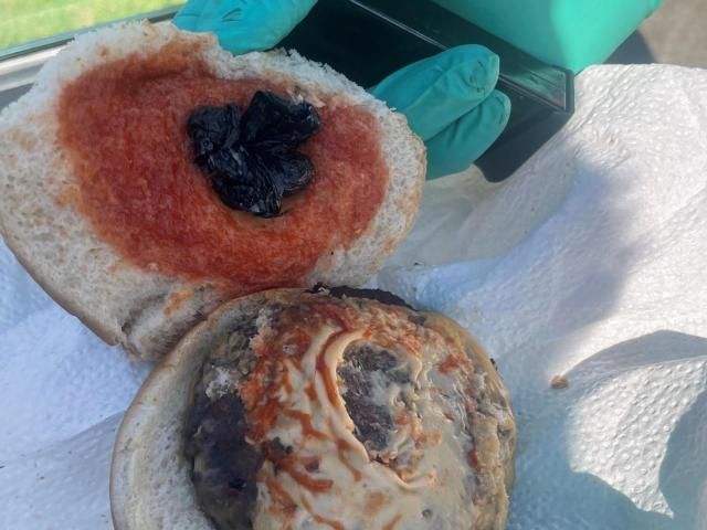 Drugs and firearms discovered in Lee County traffic stop; Cocaine hidden in cheeseburger