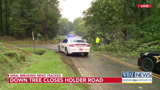 Severe thunderstorms caused widespread power outages and downed trees throughout the region. 