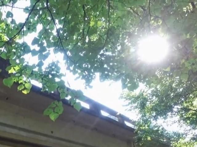 在威克郡警官的帮助下，一名处于自杀边缘的青少年重获新生