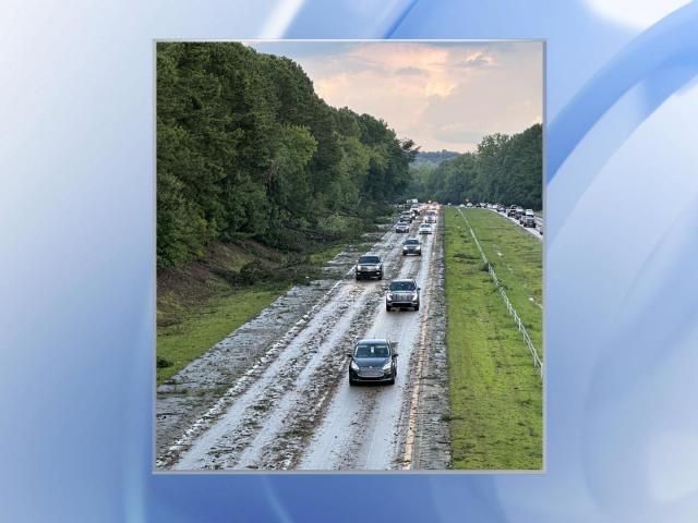 Numerous trees fall as severe storms move through central North Carolina