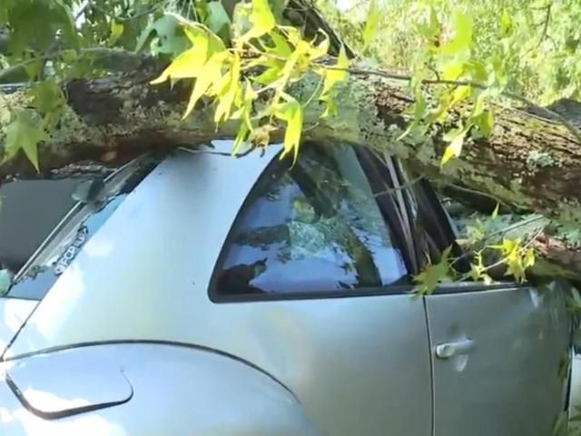 Cleanup begins after severe storms left a trail of devastation in Wake and Johnston counties