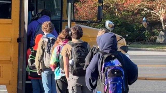 MARY ANN WOLF: Local public schools are on the ballot in nearly every race
