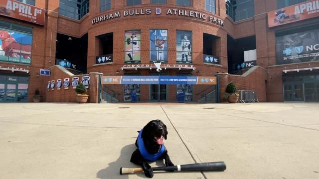 Champ on deck for the Durham Bulls