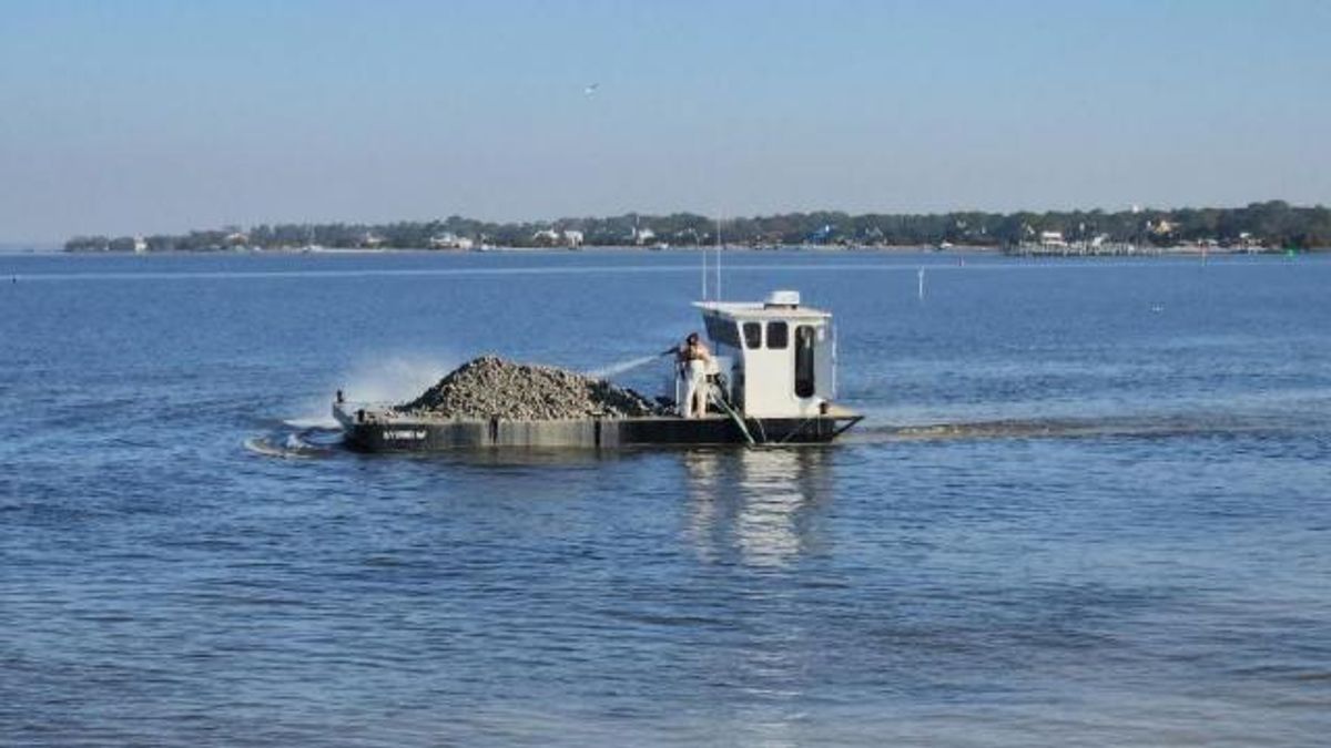 Artifical oyster reef in Carolina Beach State Park