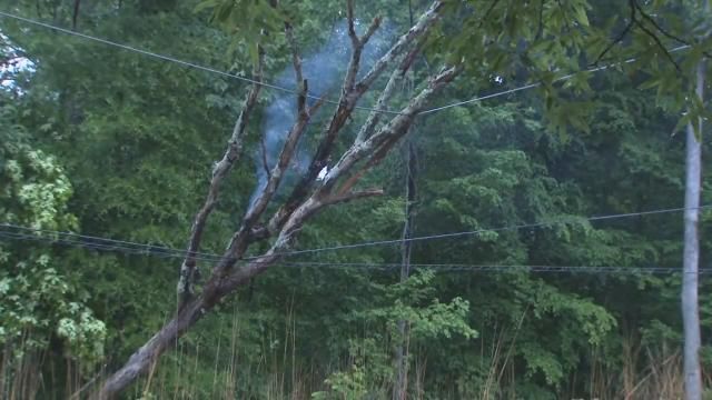 Smoke rises from tree after falling on power lines in Durham on May 9, 2025.