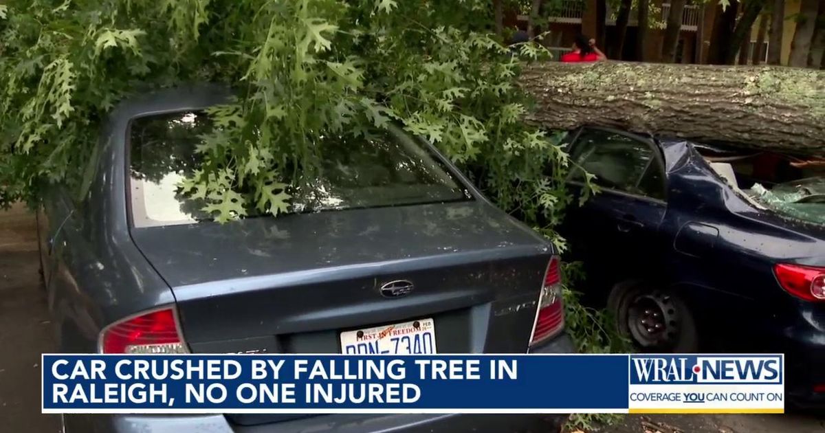 Hundreds lose power in Durham after tree falls onto power lines :: WRAL.com