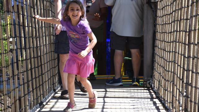 Families enjoy a beautiful day at Gipson Play Plaza, a new addition to Raleigh’s Dorothea Dix Park, on May 24.