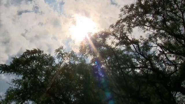 A hot day in North Carolina.