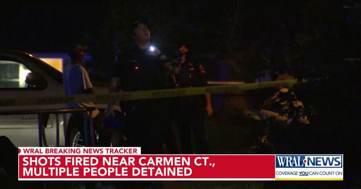 Raleigh police detain several after reports of shots fired near Carmen ...