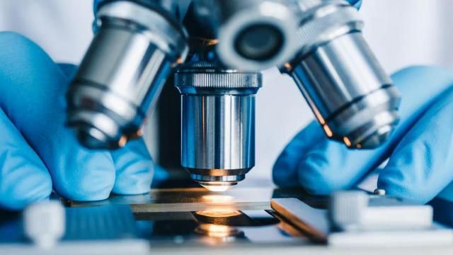 Sickle cell researcher fights back, calling NIH grant termination "racist" and "discriminatory"
