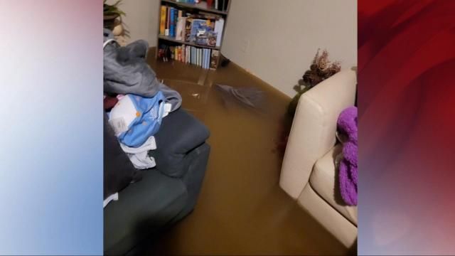 A look at the water that flooded the Dutton family's home on July 6-7, 2025.