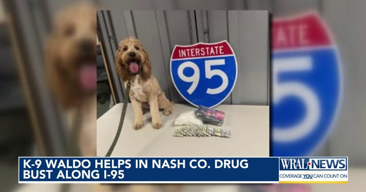 Nash County K9 sniffs out drug bust on I-95, leads to two arrests ...