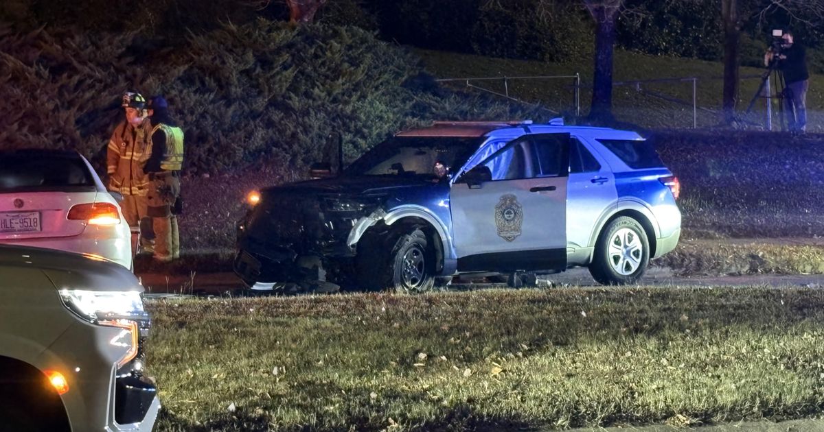 Raleigh man charged with felony hit and run after hitting police ...