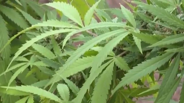 Push to close federal hemp loophole sparks industry concern