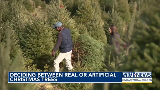 Christmas Tree Sustainability: Deciding between real or artificial trees
