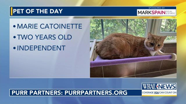 Pet of the Day: Marie Catoinette