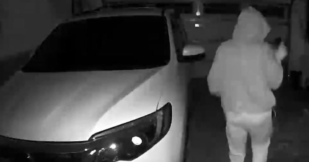 Car break-ins and thefts in Apex neighborhood sparks community concern