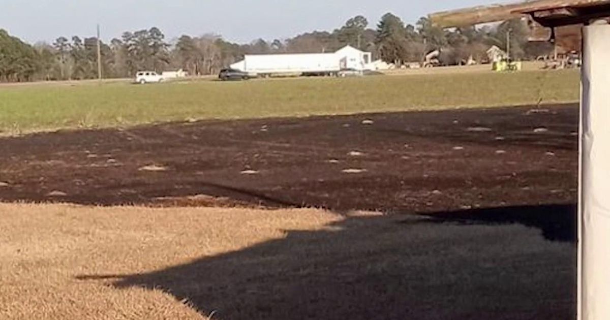 'It just went crazy:' Dropped cigarette sparks lawn-devouring grass fire in Four Oaks