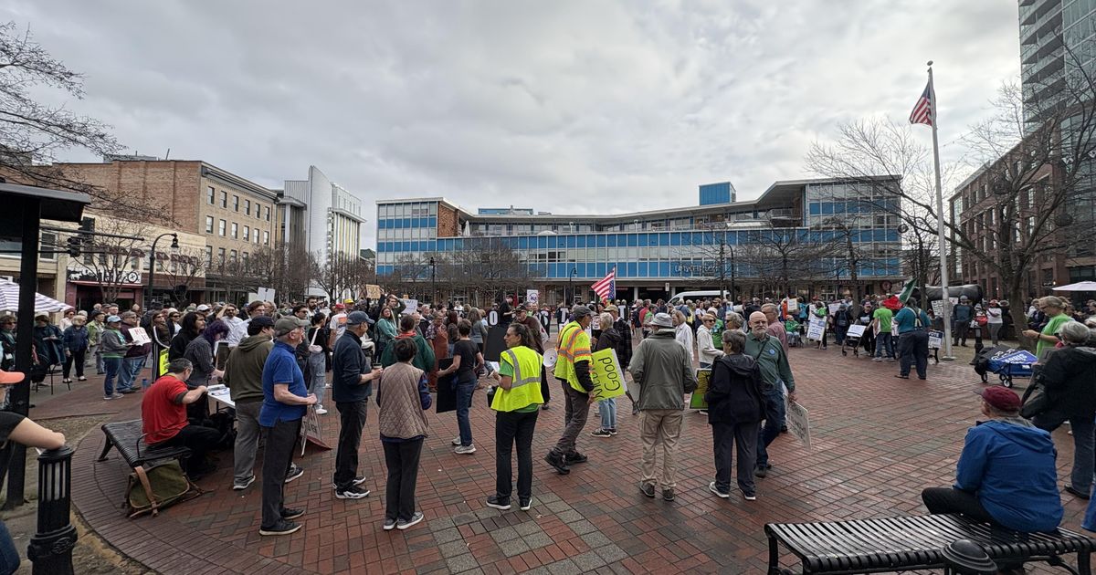 Anti-ICE protesters assemble across Triangle, US after shootings in Minneapolis and Portland, Oregon