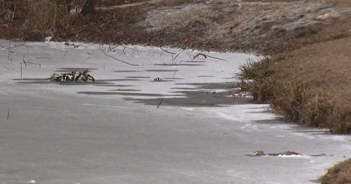 11-year-old falls in Holly Springs pond, saved by police officer