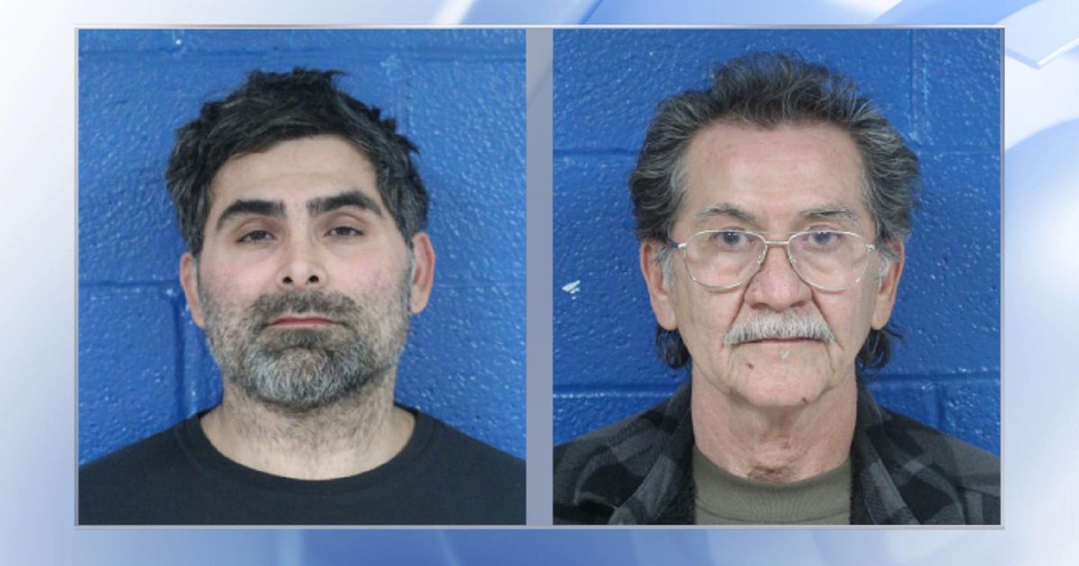 650 roosters recovered: Men arrested, charged with running Nash County ...