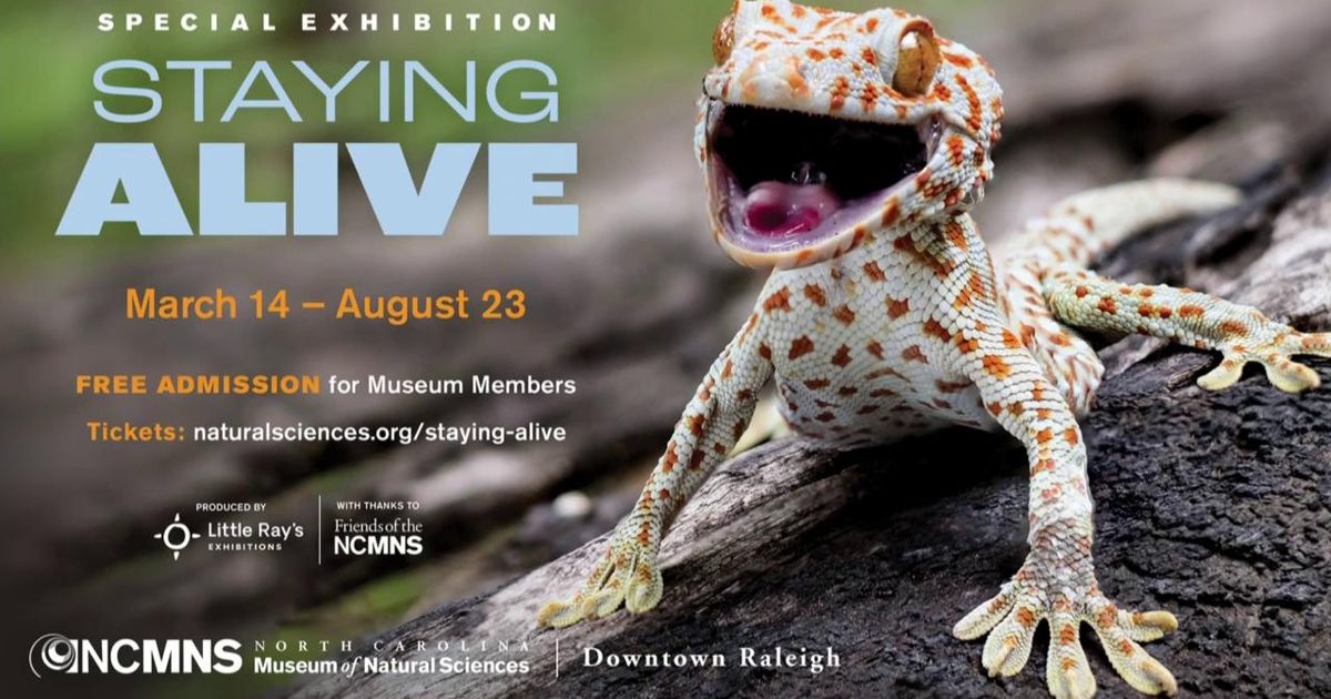 Museum of Natural Sciences opens interactive animal defense exhibit