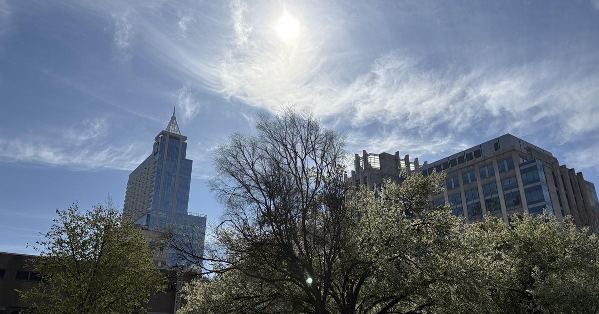 Planting more trees could ease Raleigh’s urban heat islands, environmentalists say