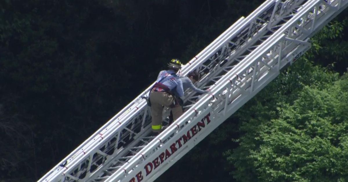 Cary firefighters rescue child stuck in 40-foot tree at elementary school